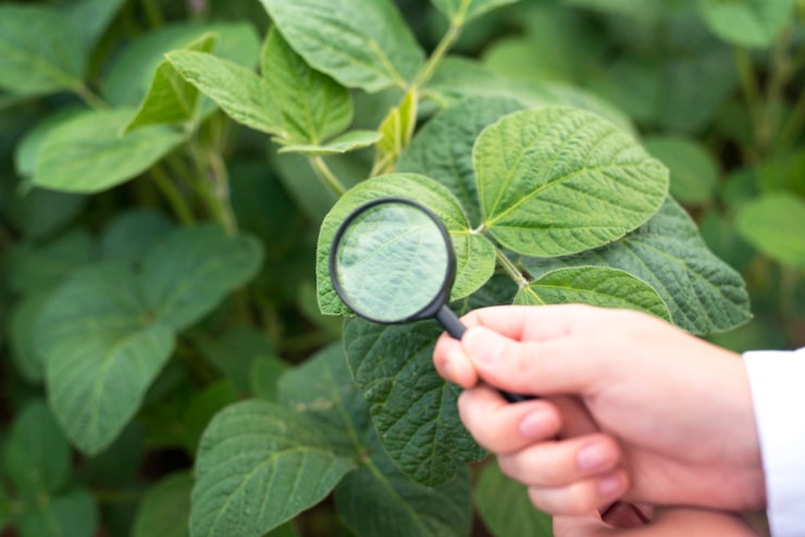 materialidad y gobierno coporativo