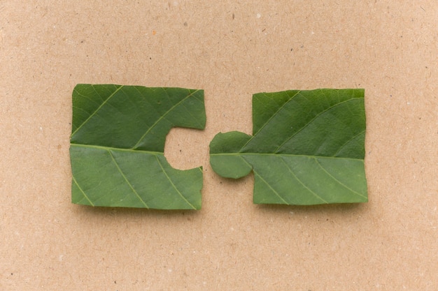 pieza rompecabezas hoja